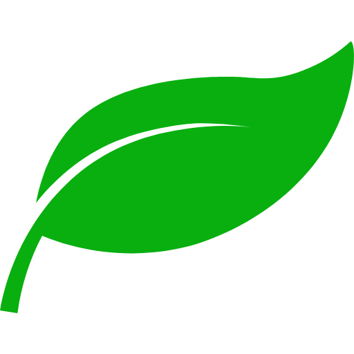 Ev Temizliği Hizmeti İstanbul